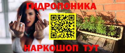 шишки Кулебаки