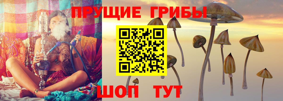 Псилоцибиновые грибы мицелий Екатеринбург